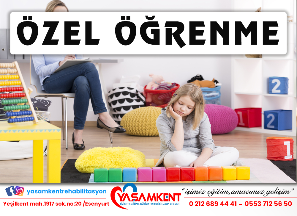 özel öğrenme destek eğitim proğramı